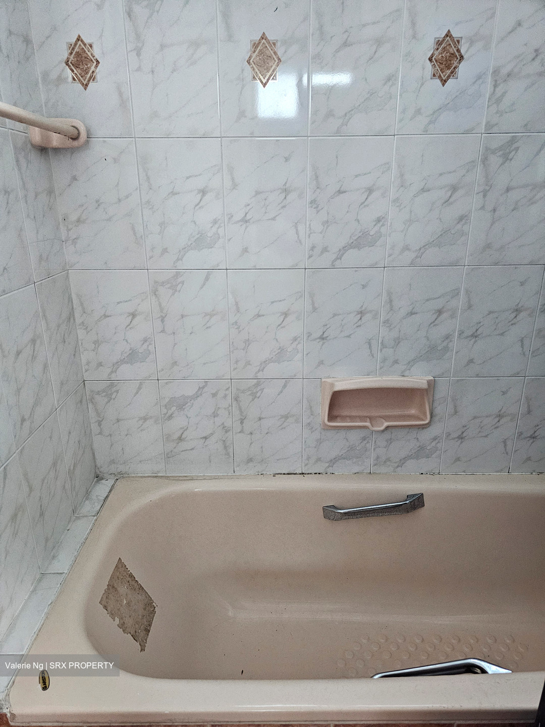Hume Park I (D21), Condominium #483242101